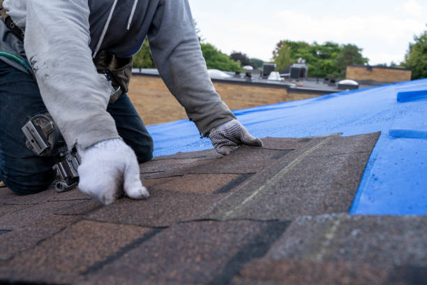 Best New Roof Installation  in Bryan, OH