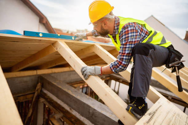 Roof Gutter Cleaning in Bryan, OH