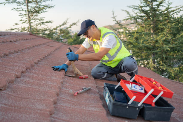 Best Storm Damage Roof Repair  in Bryan, OH